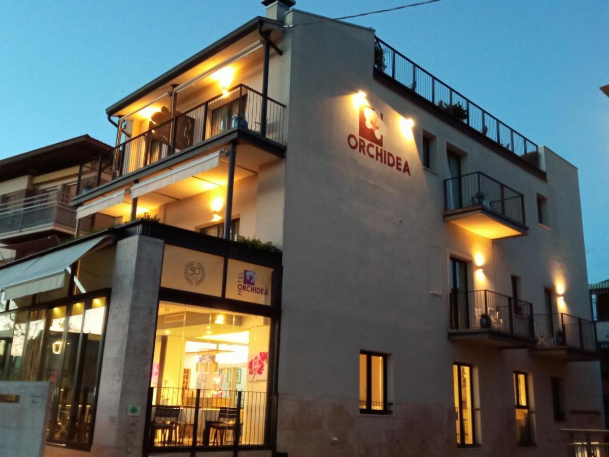 Hotel Orchidea Bardolino Exteriér fotografie